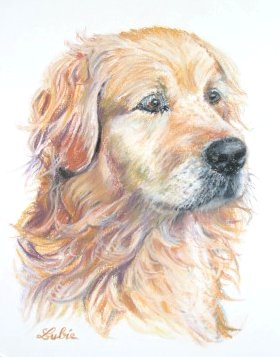 Lubie (30x40cm).